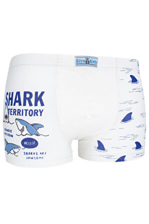 Erkek Çocuk Boxer 5 li Paket Karışık Renk Baskılı Boxer