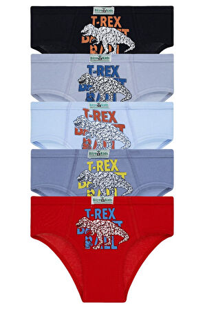 Erkek Çocuk 5'li Paket Renkli Slip Külot - T-rex -