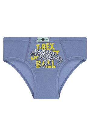 Erkek Çocuk 5'li Paket Renkli Slip Külot - T-rex -