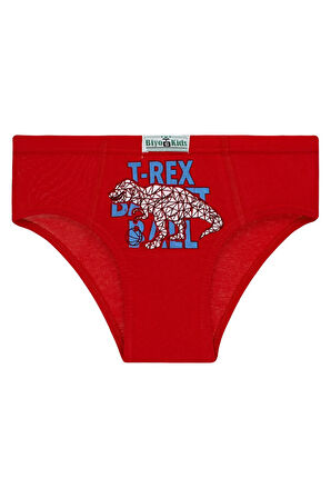 Erkek Çocuk 5'li Paket Renkli Slip Külot - T-rex -
