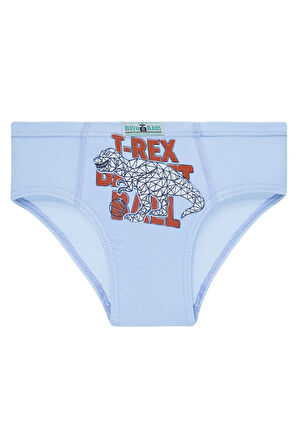 Erkek Çocuk 5'li Paket Renkli Slip Külot - T-rex -