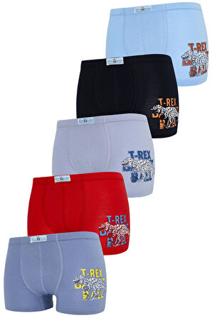 Erkek Çocuk Boxer 5 Li Paket Karışık Renk Baskılı Boxer Byo2516