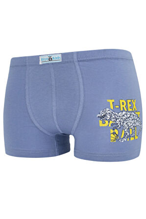 Erkek Çocuk Boxer 5 Li Paket Karışık Renk Baskılı Boxer Byo2516