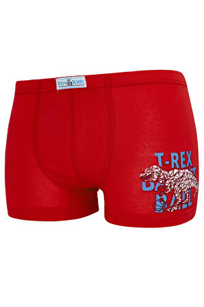 Erkek Çocuk Boxer 5 Li Paket Karışık Renk Baskılı Boxer Byo2516