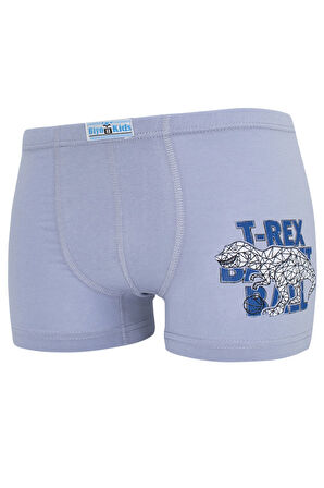 Erkek Çocuk Boxer 5 Li Paket Karışık Renk Baskılı Boxer Byo2516
