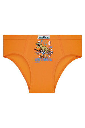 Erkek Çocuk 5'li Paket Renkli Slip Külot - Rockstar Dino -