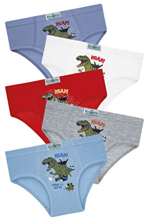 Erkek Çocuk 5'li Paket Renkli Slip Külot - Dinazor -