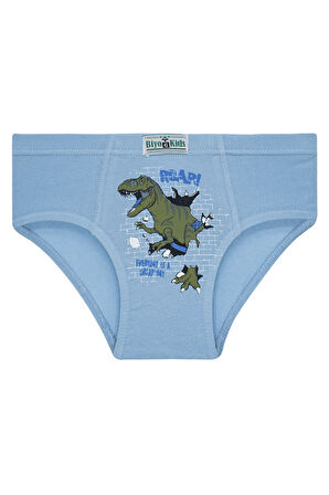 Erkek Çocuk 5'li Paket Renkli Slip Külot - Dinazor -