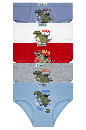 Erkek Çocuk 5'li Paket Renkli Slip Külot - Dinazor -