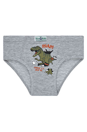 Erkek Çocuk 5'li Paket Renkli Slip Külot - Dinazor -