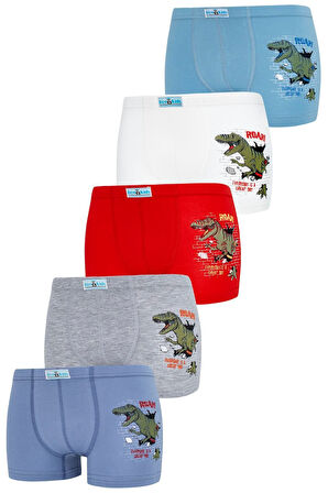 Erkek Çocuk Boxer 5 Li Paket Karışık Renk Baskılı Boxer Byo2563
