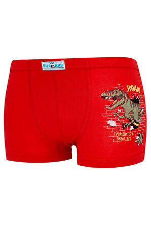 Erkek Çocuk Boxer 5 Li Paket Karışık Renk Baskılı Boxer Byo2563