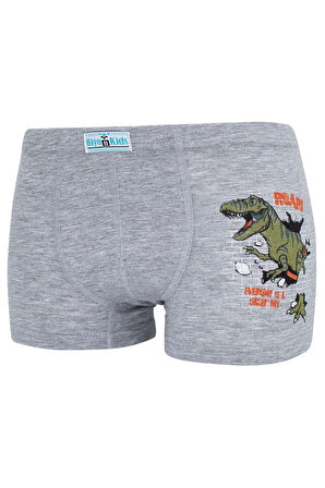 Erkek Çocuk Boxer 5 Li Paket Karışık Renk Baskılı Boxer Byo2563