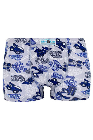 Erkek Çocuk Boxer 5 Li Paket Karışık Renk Baskılı Boxer Byo2564