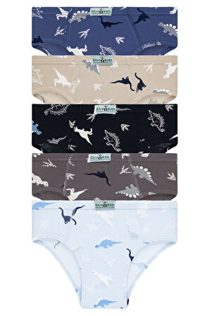 Erkek Çocuk 5'li Paket Renkli Slip Külot