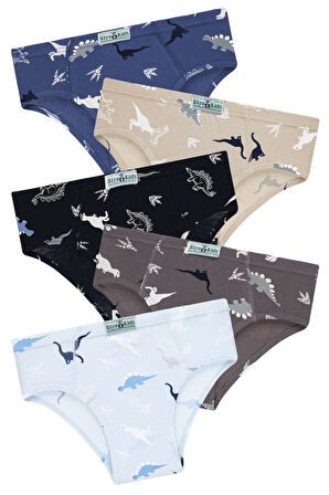Erkek Çocuk 5'li Paket Renkli Slip Külot
