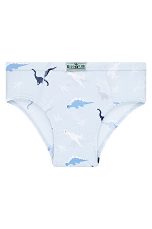 Erkek Çocuk 5'li Paket Renkli Slip Külot