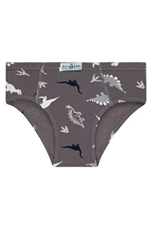 Erkek Çocuk 5'li Paket Renkli Slip Külot