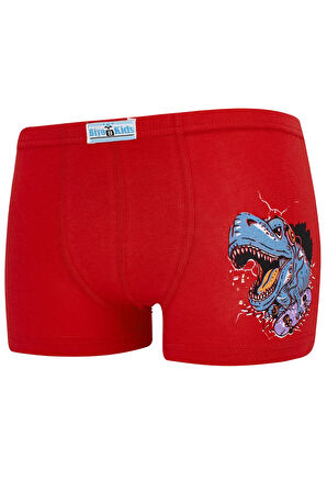 Erkek Çocuk Boxer 5 li Paket Karışık Renk Byo2594