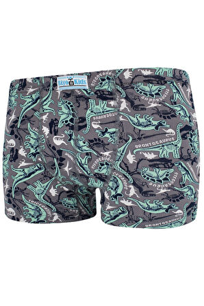 Erkek Çocuk Boxer 5 li Paket Karışık Renk Byo2594