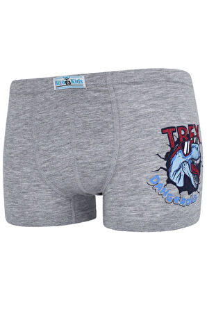 Erkek Çocuk Boxer 5 li Paket Karışık Renk Byo2594