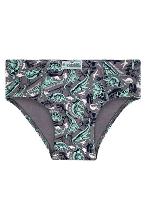 Erkek Çocuk 5'li Paket Renkli Slip Külot - Dinazor -