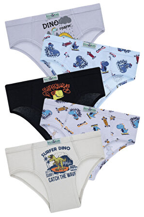 Erkek Çocuk 5'li Paket Renkli Slip Külot - Sevimli Dinolar -