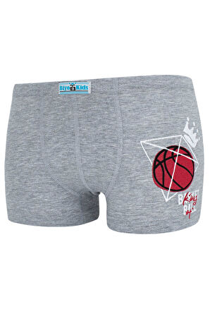 Erkek Çocuk Boxer 5 Li Paket Karışık Renk Byo2630