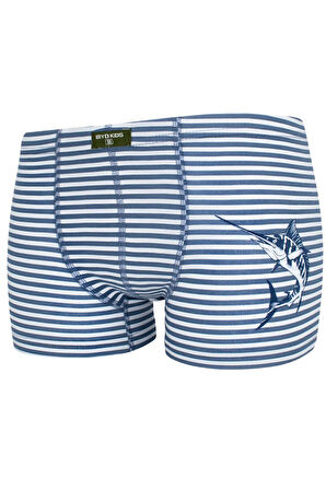 Erkek Çocuk Yelken Baskılı 5 Li Paket Karışık Renk Boxer 2720