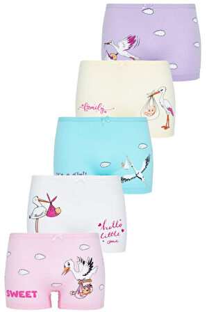 Kız Çocuk Uçan Leylekler Baskılı 5li Paket Boxer