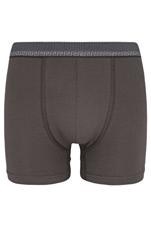 Biyo Xtreme Erkek Boxer 3'lü Paket Pamuklu Byo3104 3'lü Lacivert
