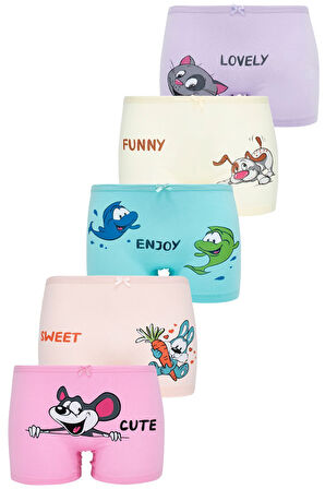 BYO 3635 K Lİ BOXER HAYVANLAR