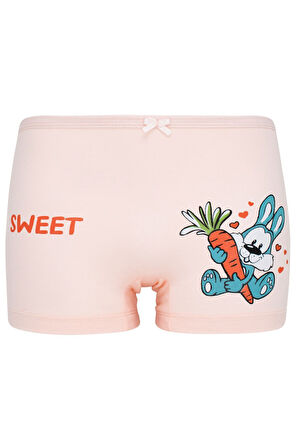 BYO 3635 K Lİ BOXER HAYVANLAR