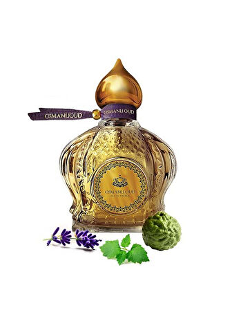 Osmanlı Oud Warriors CENK 65 ML 4127 Erkek Parfümü 8681124641274