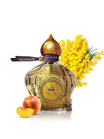 Osmanlı Oud Warriors Aysel Edp 65 ML Kadın Parfümü – Meyveli Çiçeksi – 4445