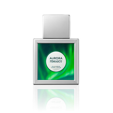 Femascu Aurora Edp 100 ML – Aromatik Oryantal Baharatlı Erkek Parfümü -6541