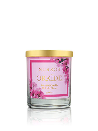 Nurxos 9683 Orkide Kutulu 2 Adet Kokulu Mum + Freshener Oda Spreyi