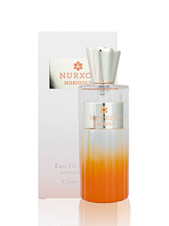 Nurxos 9837 Marigold 100 ML Edp Oryantal Vanilya Kadın Parfümü