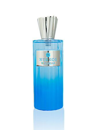 Nurxos 9838 Blue Bells 100 ML Edp Odunsu Aromatik Erkek Parfümü 