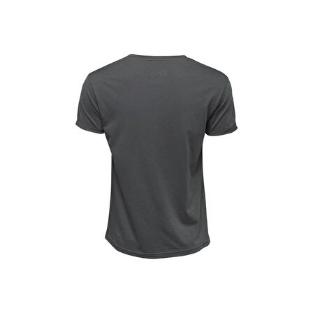 Biggdesign Nature Ormanın Kralı Erkek T-shirt Gri-M