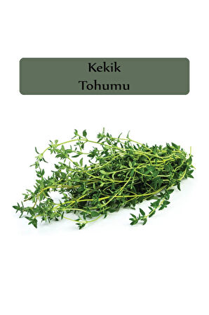 Kekik Tohumu 1 Paket Ekmeye Uygun Verimi Yüksek Kapalı Paket Tohum