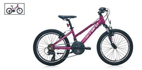 20  CARRARO FORCE 201 250H 21-V VB MAT MÜRDÜM-PEMBE R1