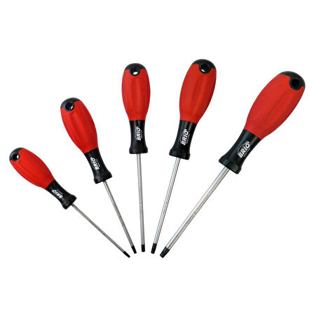 Brio Tornavida Seti Torx (Tork) 5 Parça T10-T30