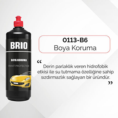 Brio Boya Koruma 1 L