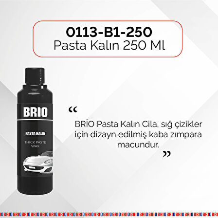 Brio Pasta Kalın 250 Ml