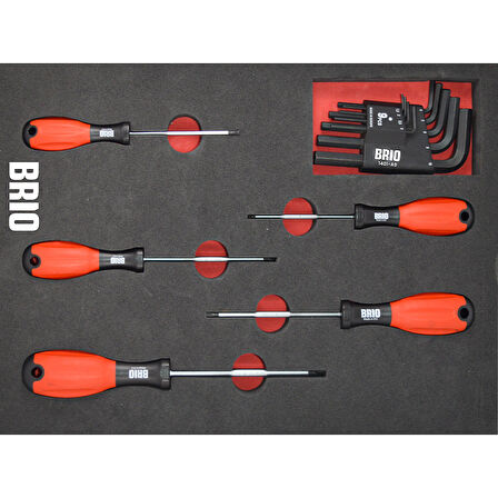 Brio Tornavida Torx Seti Ve Allen Seti 14 Parça Sünger Yataklı (Tork Alyan Seti)