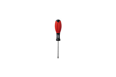 Brio Tornavida Torx (Tork) T15