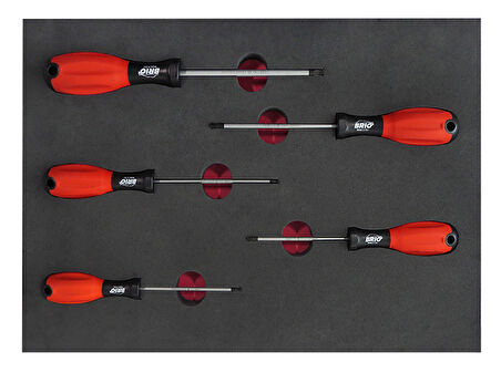 Brio Tornavida Seti Torx (Tork) 5 Parça T10-T30 Sünger Yataklı
