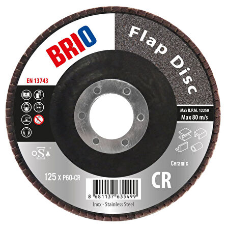 Brio Flap Disk 125XP60 Cr