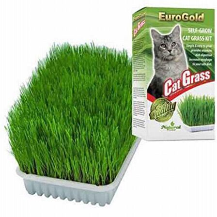 EuroGold Cat Grass Kedi Çimi